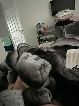 Furdale online show from 10, 11, 2025