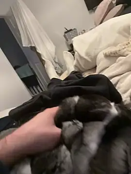 Furdale online show from 4, 2, 2026