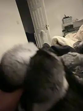 Furdale online show from 6, 2, 2026