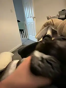 Furdale online show from 12, 3, 2026