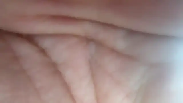 AnnualSunrise online show from 1, 1, 2025