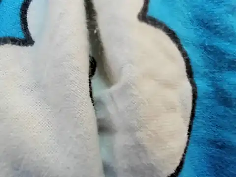 Snapshot of bigbooty29 chatting on 29, 9, 2025 bigbooty29 online show from 29, 9, 2025