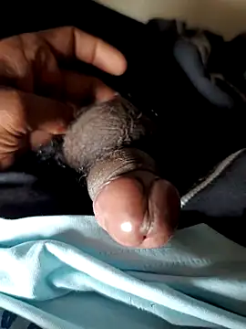 malluflash online show from 29, 11, 2025