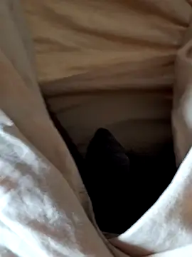 Snapshot of malluflash chatting on 12, 2, 2026 malluflash online show from 12, 2, 2026