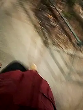 rodovlaz online show from 6, 10, 2025