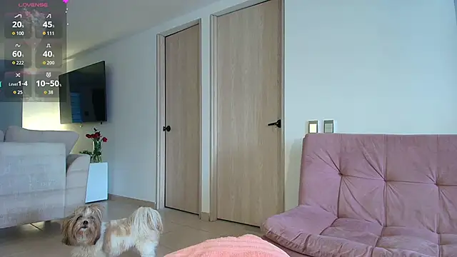 allysoonswwan17 online show from 5, 3, 2026