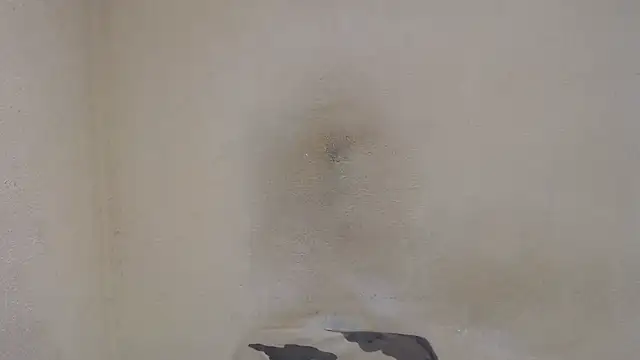 Snapshot of AlexNudo chatting on 31, 12, 2024 AlexNudo online show from 31, 12, 2024