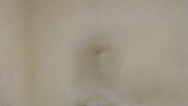 Snapshot of AlexNudo chatting on 30, 1, 2025 AlexNudo online show from 30, 1, 2025