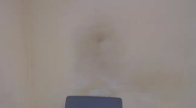 Snapshot of AlexNudo chatting on 5, 2, 2025 AlexNudo online show from 5, 2, 2025