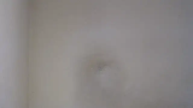 Snapshot of AlexNudo chatting on 26, 2, 2025 AlexNudo online show from 26, 2, 2025