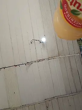 Kanekki2 online show from 27, 3, 2026