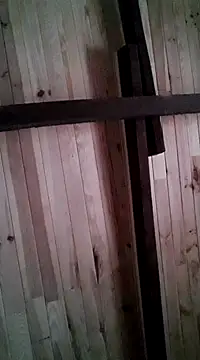 davigochi77bcn online show from 6, 3, 2025