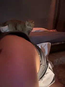 Bastet online show from 14, 1, 2025