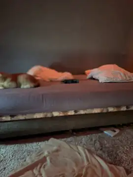 Bastet online show from 15, 1, 2025