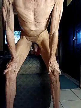 dutra498 online show from 15, 4, 2026