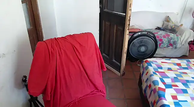 deftoolceles online show from 8, 12, 2024