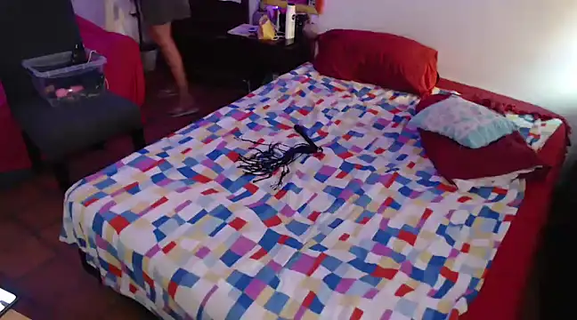 deftoolceles online show from 20, 3, 2025