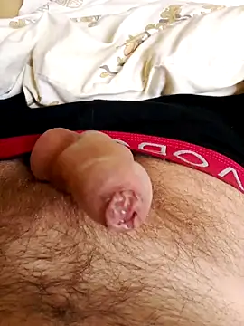 Snapshot of Robertvirt chatting on 25, 11, 2025 Robertvirt online show from 25, 11, 2025