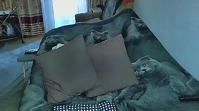 sex2 online show from 25, 9, 2025