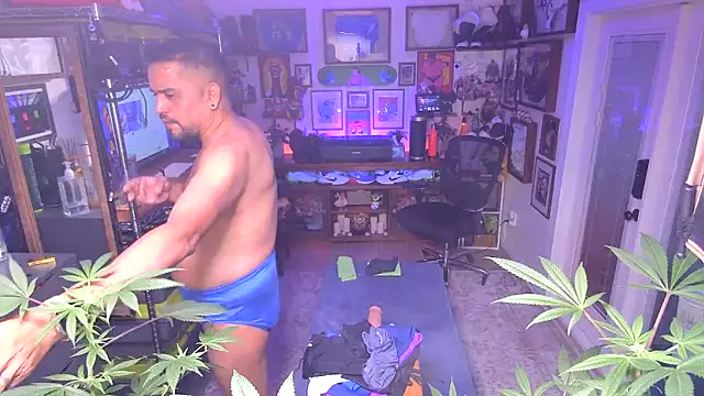 Briefs bud online show from 16, 12, 2024