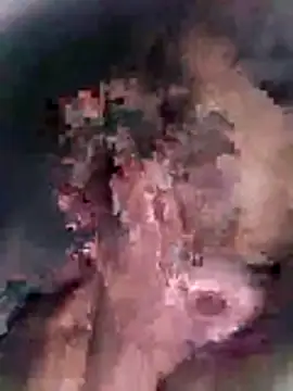 Pitercom online show from 18, 10, 2025