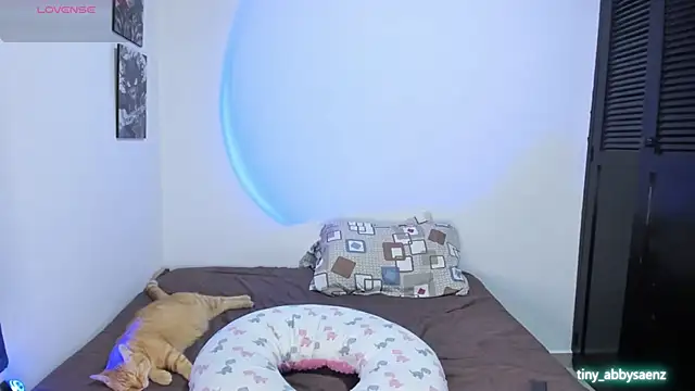 Abby Saenz01 online show from 14, 9, 2025