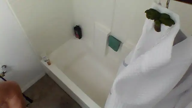 Yankeedave420 online show from 27, 1, 2025