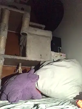 Snapshot of BIG-CkD_F chatting on 13, 1, 2025 BIG-CkD F online show from 13, 1, 2025