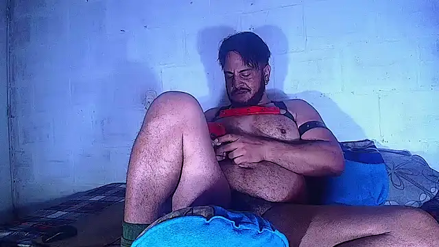 the master foal  online show from 12, 3, 2025