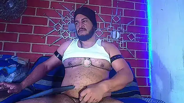 the master foal  online show from 22, 3, 2025