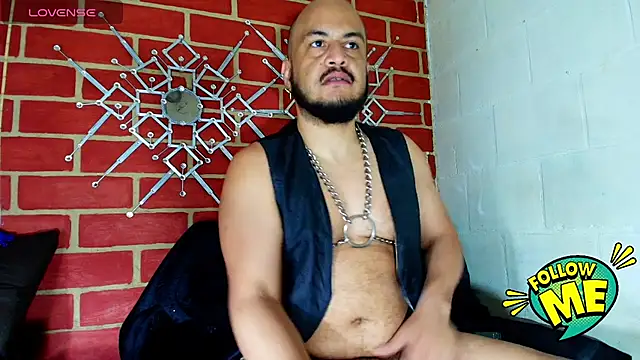 the master foal  online show from 1, 10, 2025