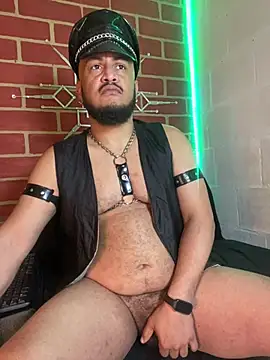 the master foal  online show from 10, 2, 2026