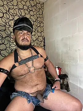 the master foal  online show from 2, 4, 2026