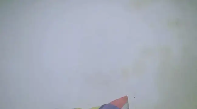 h0ney lips online show from 28, 1, 2025