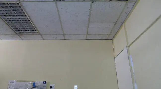 Mydreamgirrl online show from 13, 2, 2025