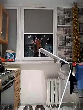 wilkalfa online show from 6, 12, 2024