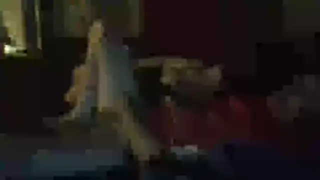 Wyleyxh online show from 11, 11, 2025