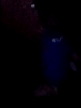 Wyleyxh online show from 30, 11, 2025