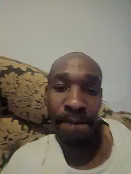 Dibobo4 online show from 26, 4, 2026