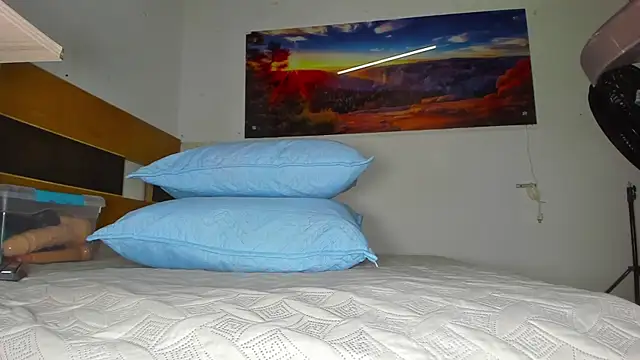  ebony-queen  online show from 28, 2, 2025