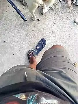 TitularAdaption online show from 19, 2, 2026