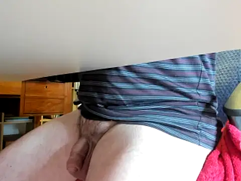 leccaleccafiga online show from 26, 1, 2025