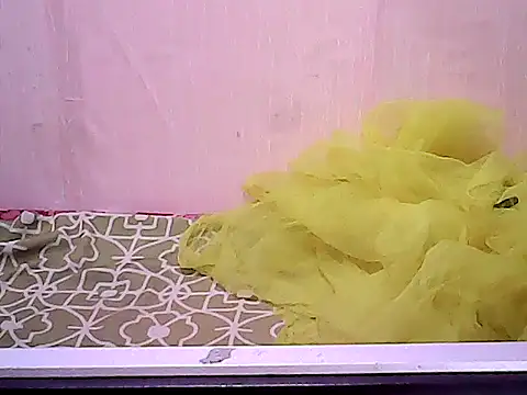 bridgette4u online show from 17, 12, 2025