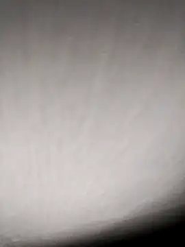 Annerae online show from 9, 4, 2026