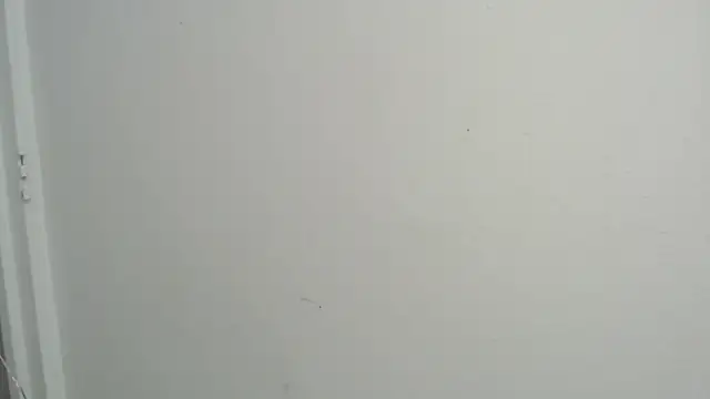 amy le01 online show from 18, 2, 2025