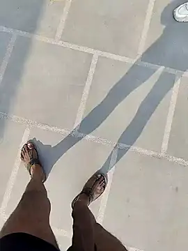 Player Aadi online show from 16, 12, 2024