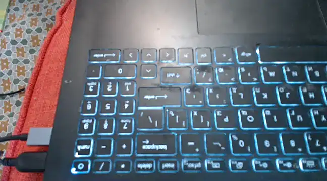 KiraGoldens online show from 18, 1, 2025