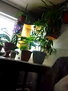 IrmaRose online show from 9, 11, 2025