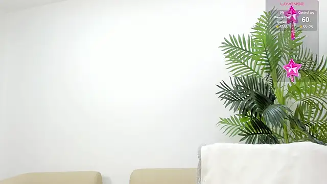 nohetanhai01   online show from 7, 1, 2025