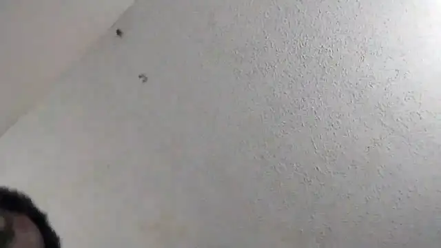 247Srokin online show from 6, 3, 2026